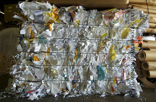 Recycling Business photography by Shannon Drawe Photography