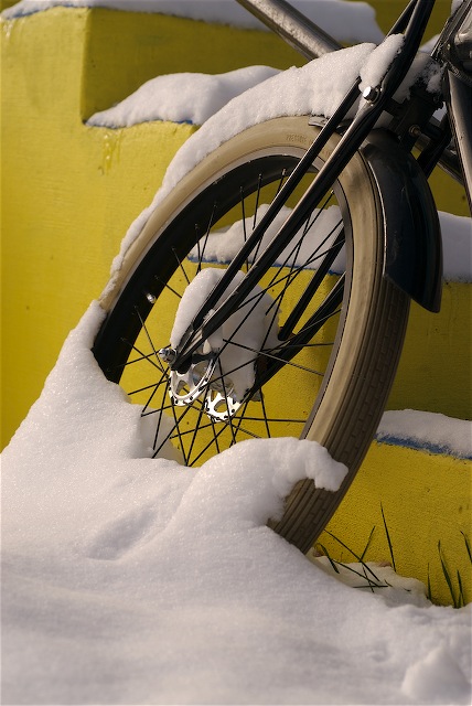 Travel Photography Art Snow Fat Tires